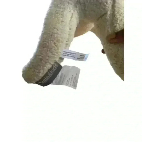 VGUC-15” Goldendoodle Plush Crate & Barrel Crate Kids Dog Adopt Puppy Adoption - Picture 8 of 8